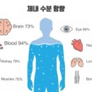 원알엠짐 이미지