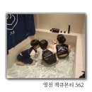 잭큐몬티562 이미지