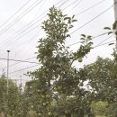 이재형농장 이미지