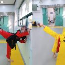 강담태권도 이미지