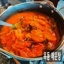 현직 수산물 중매인 추천, 제주도 오마카세, 스시바미미, 일식, 애월 맛집, 애월해안도로식당