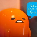 1인 미디어 유튜브 크리에이터 | 블로그 수익화 1인 미디어 교육 66시간 정리노트 크리에이터 sns 교육 후기