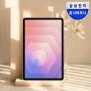 태블릿PC 디지털 드로잉 | 삼성전자 갤럭시탭 S11 WiFi 128GB 그레이, 가성비 드로잉 필기 태블릿!