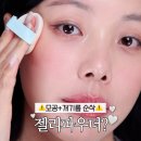 (주)피니쉬라인 | 피니쉬파우더 추천! 풀리 노세범 젤리 파우더 - 개기름 모공 순삭, 기름종이 대용까지