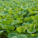 곤지암도자기공원 이미지