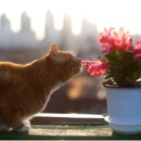 현대인-공존 이미지