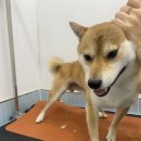 개포동월드 이미지