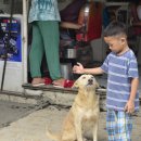 씨사이드호텔 이미지