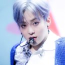 터트 이미지