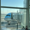 인천공항중학교 | 진에어 업그레이드 대한항공 : 오사카 기내식 후기 KE723