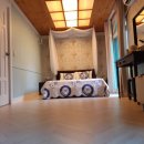 강과소나무 이미지