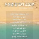 본  주짓수 유도 이미지