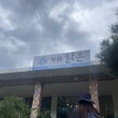 대원사정류장 이미지