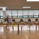 성인발레 중급 이미지