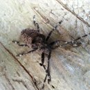 자연애농장 이미지