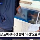 흑산도홍어 - 신안군 진마을길 32-5 | 흑산도홍어