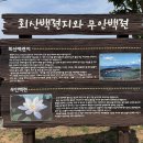 일로역 | [무안 여행] 동양 최대 백련 자생지에서 제28회 무안연꽃축제가 열립니다.