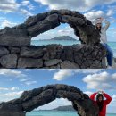 차정농장 이미지