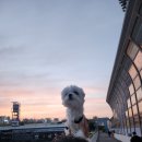 국수나무미사강변점 | 하남고기집 캠핑 야장 감성 털보네바베큐 미사동본점 후기