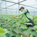 만지원농장 이미지