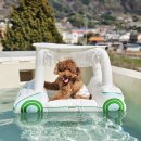 루비애견 | 너무 예뻤던 춘천 애견풀빌라 펜션 스테이루비 방문 후기