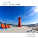 물뿜는 고래 이미지