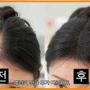 헤어팡팡 이미지