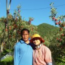 이해영 농장 이미지