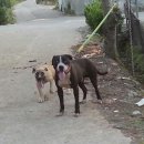 쭈쭈농장 이미지