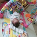 내산체육관 이미지