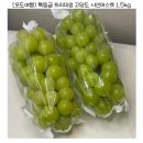 샤인홈 | 포도여행 김천 샤인머스켓 후기🍇 당도 18브릭스 택배 추천