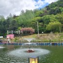 칠오닭갈비춘천점 이미지