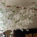 돈땡기네 이미지