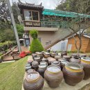 도깨비맛집 이미지