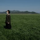 삼호태양광발전소 이미지