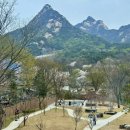 핑크피크닉 이미지