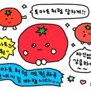 멋쟁이토마토