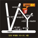 오아시스153 이미지