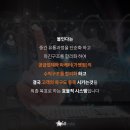 다와요몰 이미지