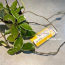 기림약국 이미지