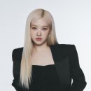 로제 카카오 검색결과