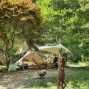 성석로146번길 | 면텐트 세탁 🏕 텐트세탁, 곰팡이제거 내돈내산 이용후기, 주의점!