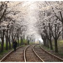 경강역 출사... 이미지
