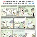 양지초등학교+부안초등학교 이미지