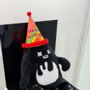 엔피투어 이미지