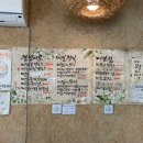 메밀쟁이