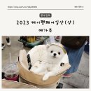 (주)코리아세븐 부산개금블루점 | [펫박람회] 드디어 2023년 상반기 케이펫페어일산 메가주 오픈런 관람후기☆ 참관업체 리스트 확인하세요~