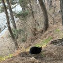 반도 | 변산반도 고사포 야영장 하우스25 변산반도 특화야영장 후기