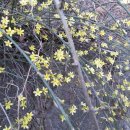 개나리슈퍼 이미지