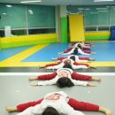 용인대 국가대표 태권도 이미지